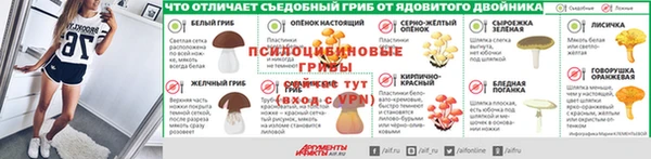 ПСИЛОЦИБИНОВЫЕ ГРИБЫ Балабаново