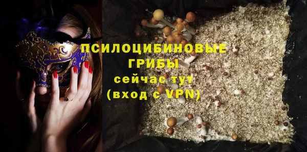 ПСИЛОЦИБИНОВЫЕ ГРИБЫ Балабаново