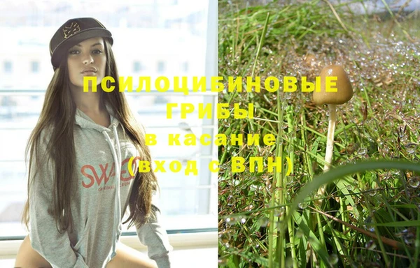 ПСИЛОЦИБИНОВЫЕ ГРИБЫ Балабаново