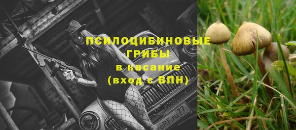 ПСИЛОЦИБИНОВЫЕ ГРИБЫ Балабаново
